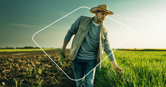 5 tendências para o agronegócio em 2025