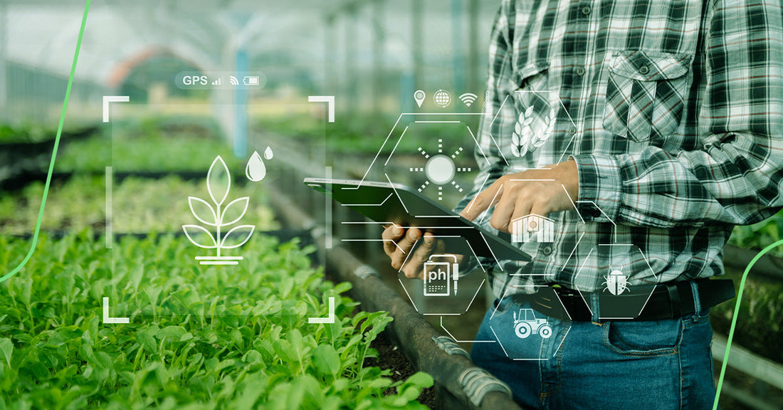 Conectividade no campo: como a tecnologia transforma o agronegócio