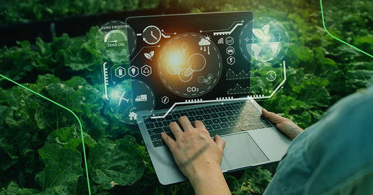 Inteligência artificial no agro: como pode aumentar em até 20% a eficiência agrícola