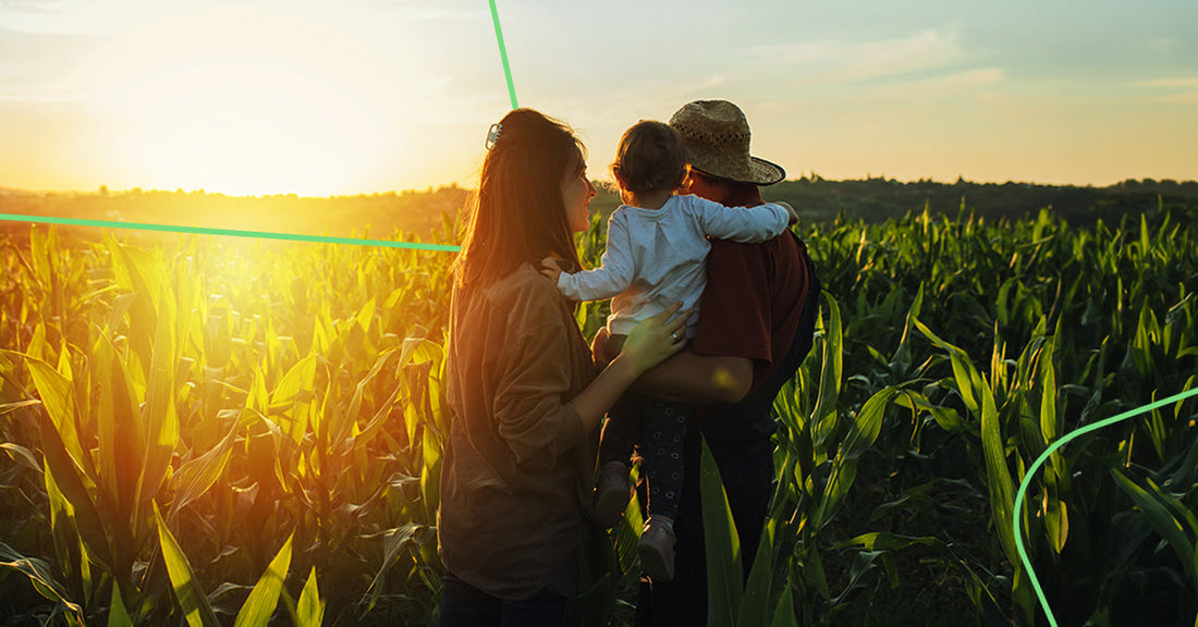 Sucessão familiar no agro: estratégia, liderança e crescimento