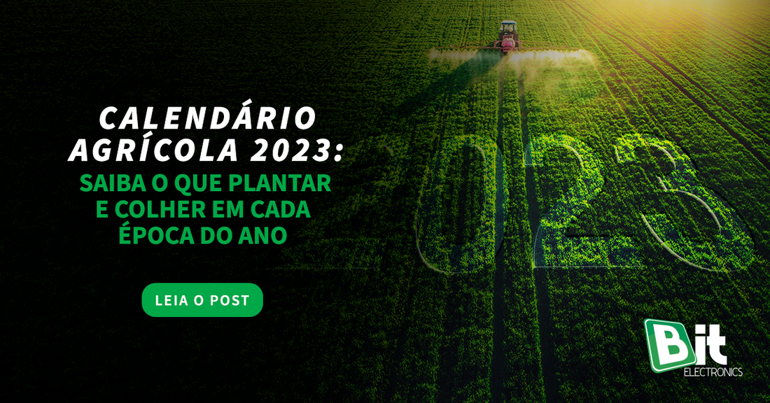 Calendário agrícola 2023: o que plantar e colher em cada estação