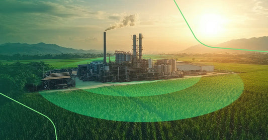 Internet no Canavial: Como Conectar Grandes Plantações (+1.000 Hectares)
