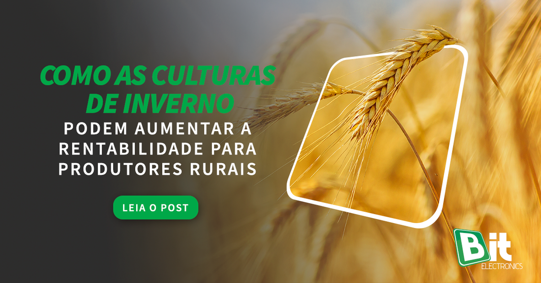 Como as culturas de inverno podem aumentar a rentabilidade para produtores rurais