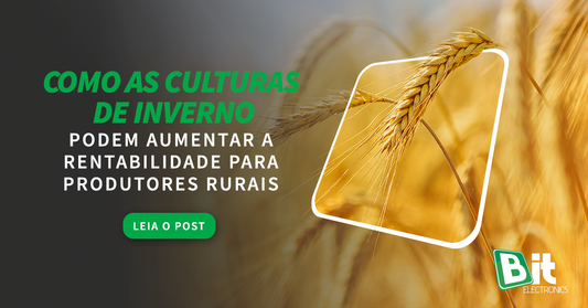 Como as culturas de inverno podem aumentar a rentabilidade para produtores rurais