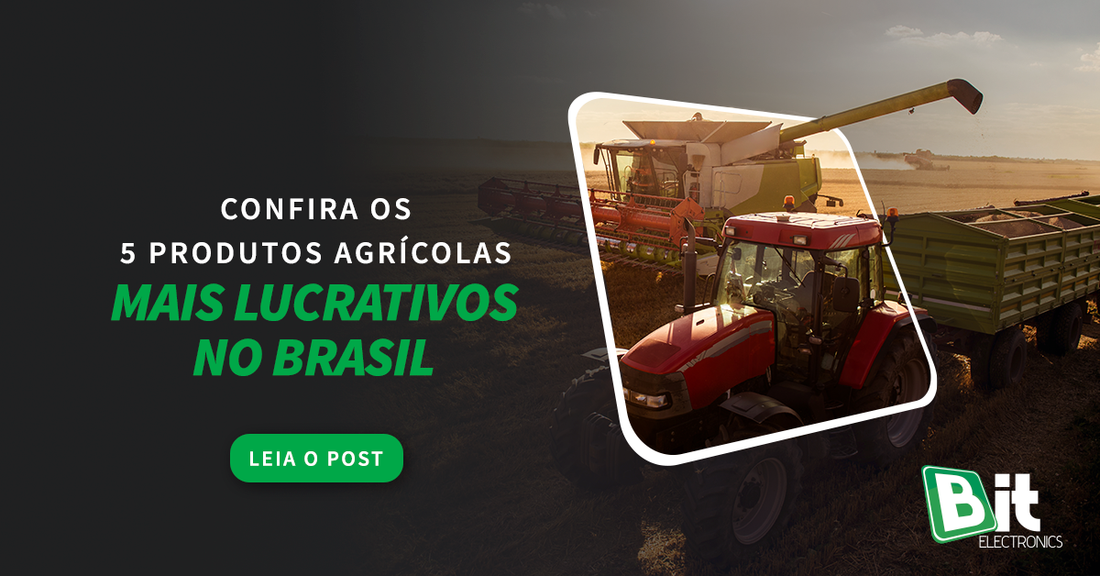 Confira os 5 produtos agrícolas mais lucrativos do Brasil